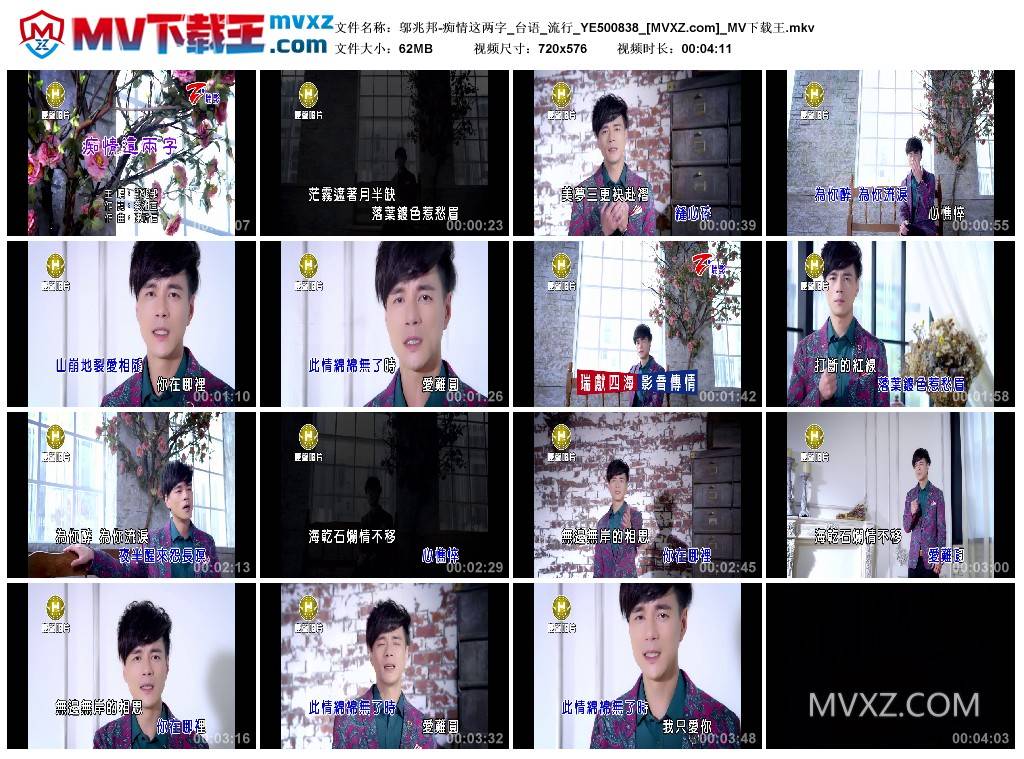 邬兆邦-痴情这两字_台语_流行_YE500838